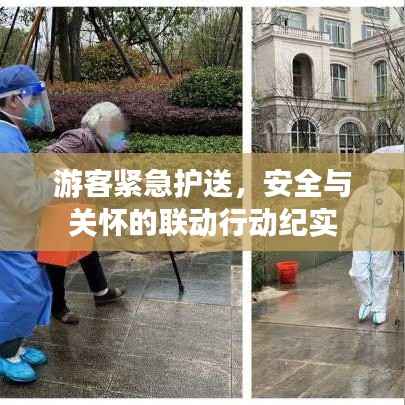 游客紧急护送，安全与关怀的联动行动纪实