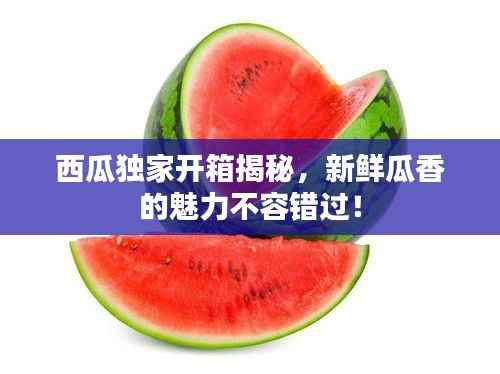 西瓜独家开箱揭秘，新鲜瓜香的魅力不容错过！