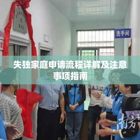 失独家庭申请流程详解及注意事项指南