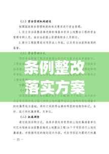 条例整改落实方案,构建高效执行力的核心路径