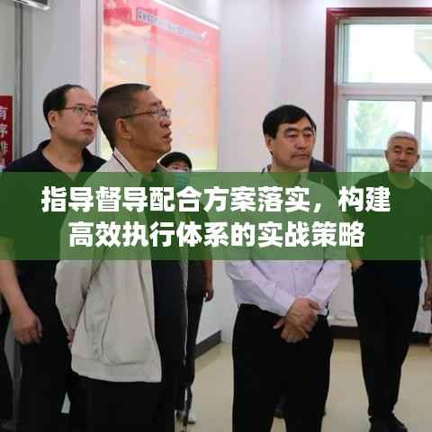 指导督导配合方案落实，构建高效执行体系的实战策略
