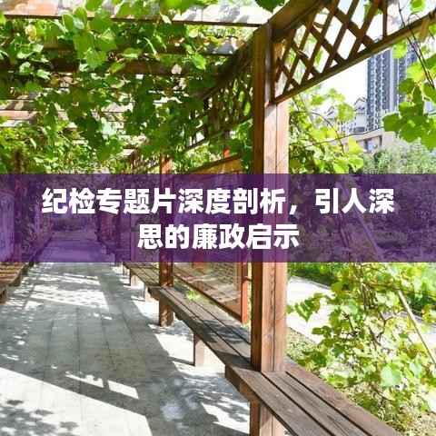 纪检专题片深度剖析,引人深思的廉政启示