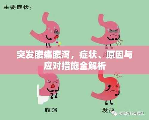 突发腹痛腹泻，症状、原因与应对措施全解析