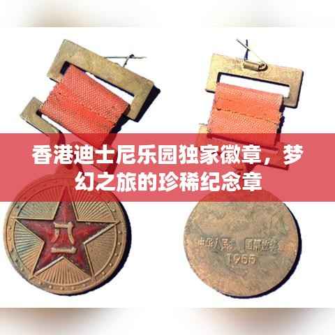 香港迪士尼乐园独家徽章，梦幻之旅的珍稀纪念章
