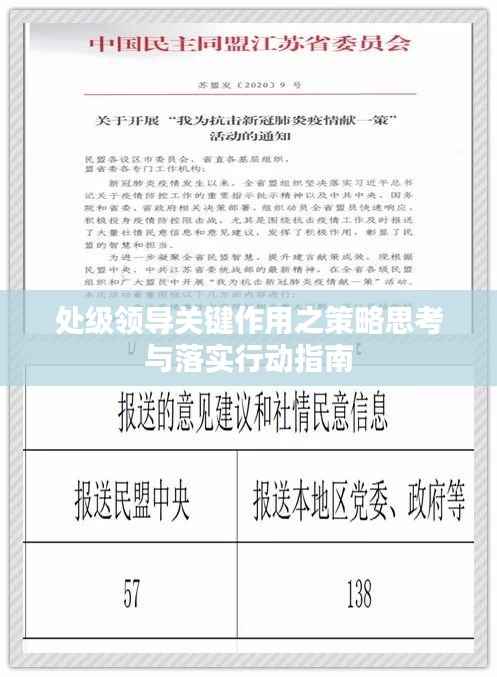 处级领导关键作用之策略思考与落实行动指南