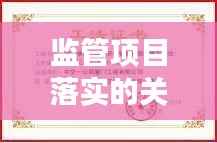 监管项目落实的关键路径，构建高效执行力之道