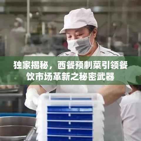 独家揭秘，西餐预制菜引领餐饮市场革新之秘密武器
