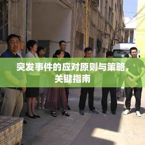 突发事件的应对原则与策略,关键指南