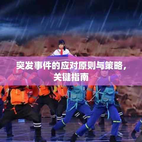 突发事件的应对原则与策略,关键指南
