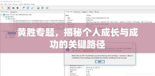 黄胜专题，揭秘个人成长与成功的关键路径