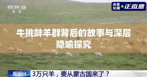 出就外傅 第5页