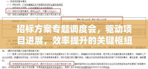 招标方案专题调度会，驱动项目进展，效率提升的关键枢纽会议