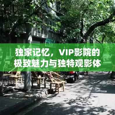 独家记忆，VIP影院的极致魅力与独特观影体验