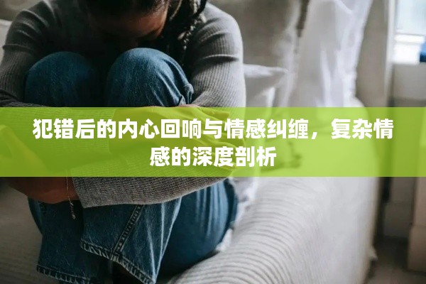 犯错后的内心回响与情感纠缠,复杂情感的深度剖析