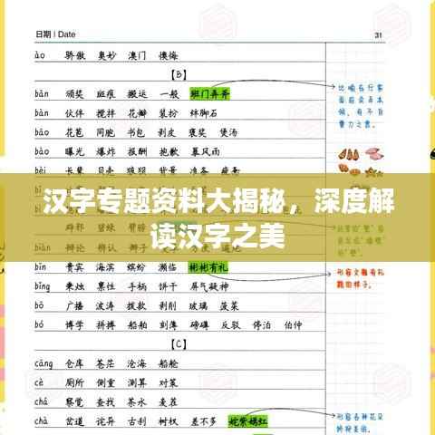 汉字专题资料大揭秘，深度解读汉字之美