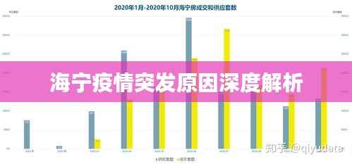 海宁疫情突发原因深度解析