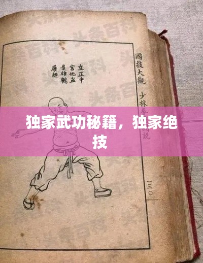 独家武功秘籍，独家绝技 