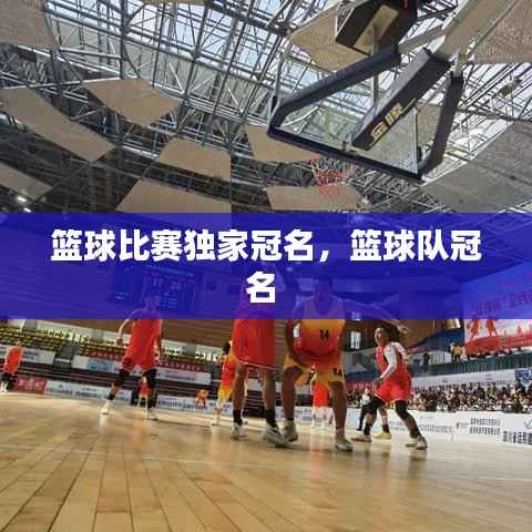 篮球比赛独家冠名，篮球队冠名 