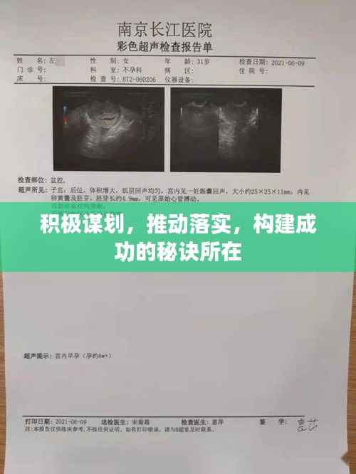 积极谋划，推动落实，构建成功的秘诀所在