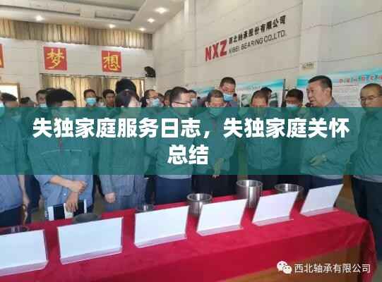 失独家庭服务日志，失独家庭关怀总结 