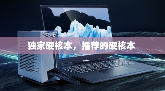 独家硬核本,推荐的硬核本