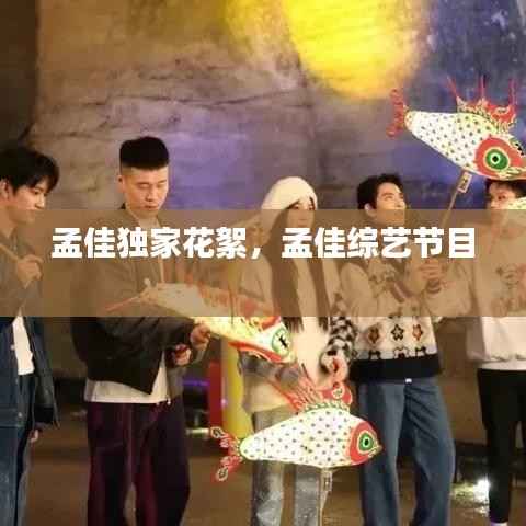 孟佳独家花絮，孟佳综艺节目 