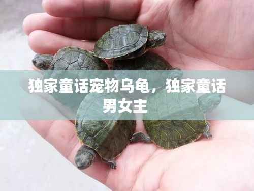 独家童话宠物乌龟，独家童话男女主 