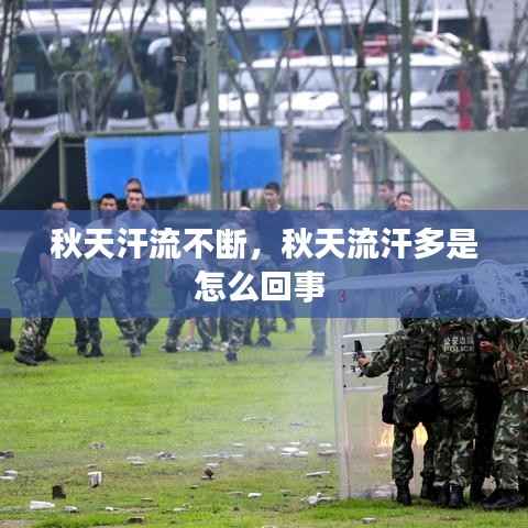 秋天汗流不断，秋天流汗多是怎么回事 