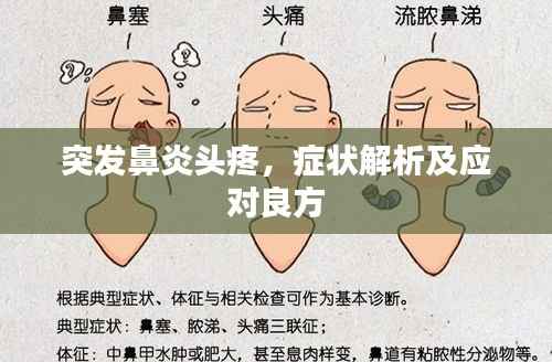 突发鼻炎头疼，症状解析及应对良方