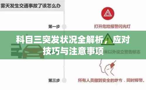 科目三突发状况全解析，应对技巧与注意事项