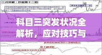 科目三突发状况全解析,应对技巧与注意事项