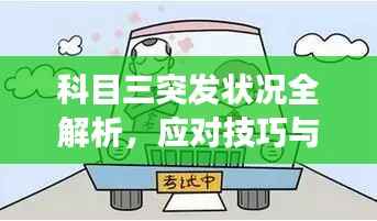 科目三突发状况全解析,应对技巧与注意事项