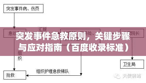 突发事件急救原则，关键步骤与应对指南（百度收录标准）