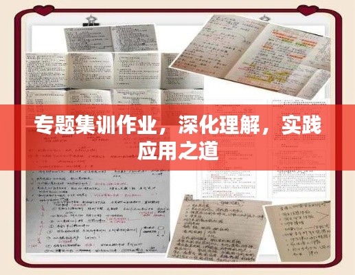 专题集训作业,深化理解,实践应用之道