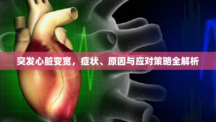 突发心脏变宽，症状、原因与应对策略全解析