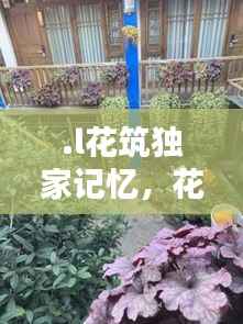 .l花筑独家记忆，花筑民宿官网 