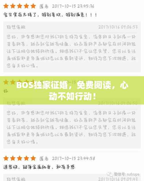 BOS独家征婚，免费阅读，心动不如行动！