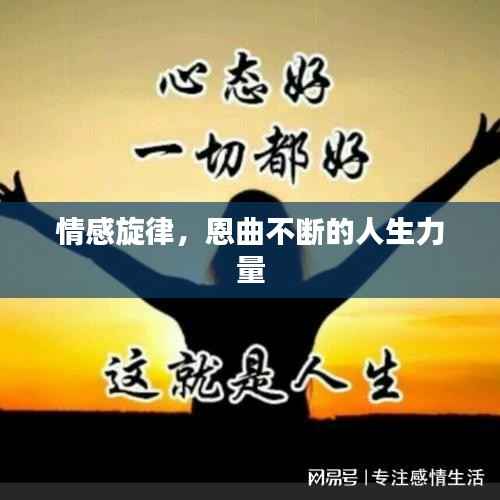 情感旋律,恩曲不断的人生力量
