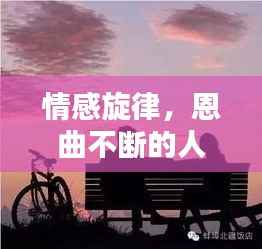 情感旋律,恩曲不断的人生力量