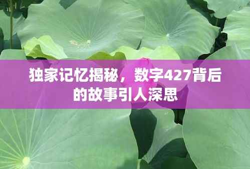 独家记忆揭秘,数字427背后的故事引人深思