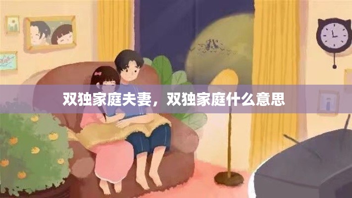 双独家庭夫妻，双独家庭什么意思 