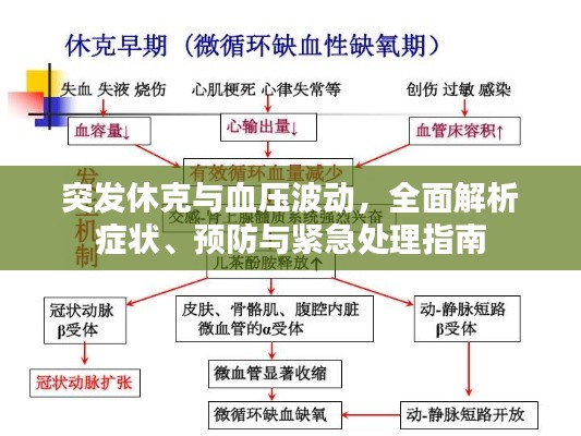 突发休克与血压波动，全面解析症状、预防与紧急处理指南