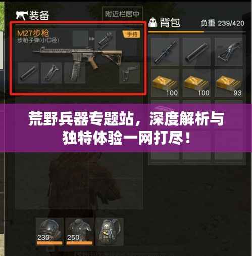 荒野兵器专题站，深度解析与独特体验一网打尽！