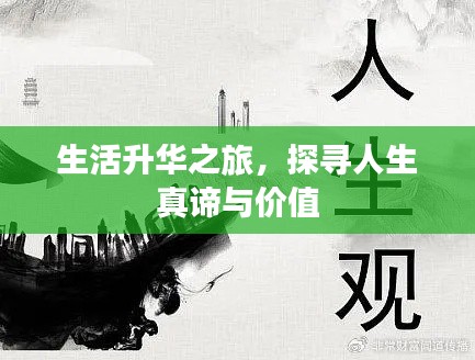 生活升华之旅，探寻人生真谛与价值