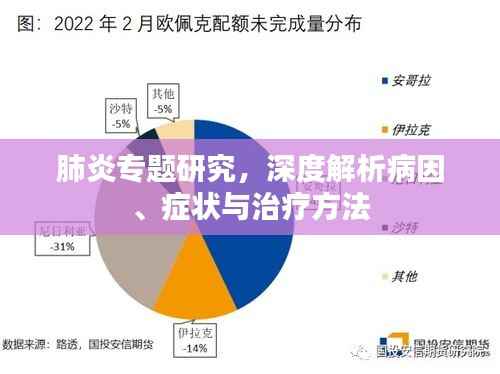 肺炎专题研究,深度解析病因、症状与治疗方法