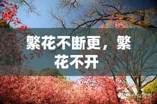繁花不断更，繁花不开 