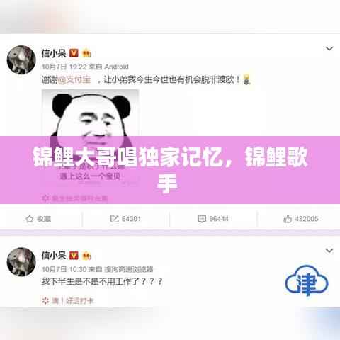 锦鲤大哥唱独家记忆,锦鲤歌手