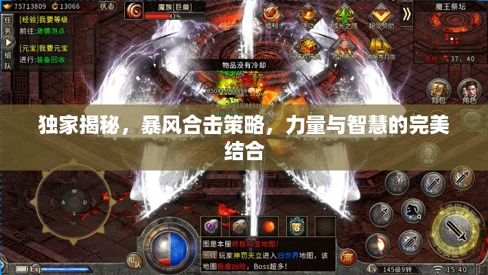 独家揭秘，暴风合击策略，力量与智慧的完美结合