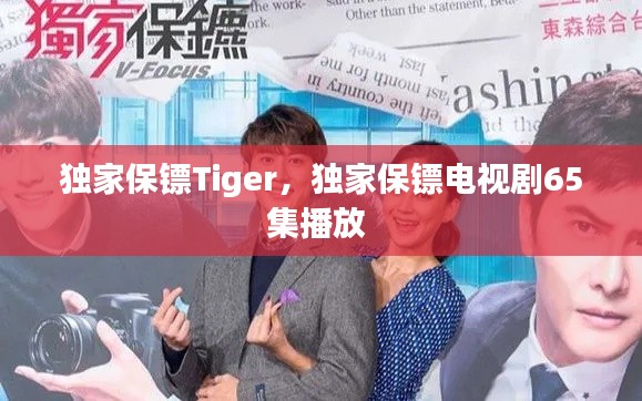 独家保镖Tiger，独家保镖电视剧65集播放 