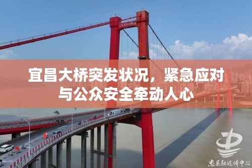 宜昌大桥突发状况，紧急应对与公众安全牵动人心